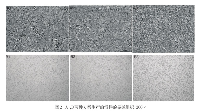 A 、B兩種方案生產(chǎn)的鍛棒的顯微組織